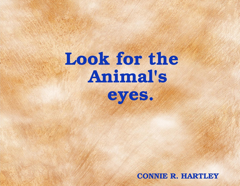 Look for the Animal's eyes.