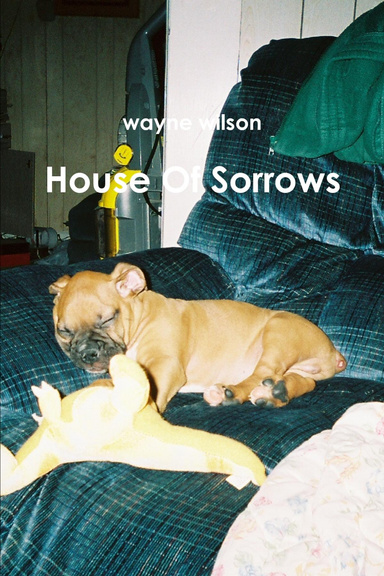 House Of Sorrows
