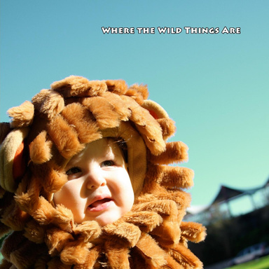 Where the Wild Things Are