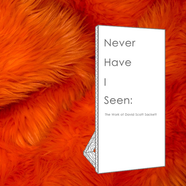 Never Have I Seen