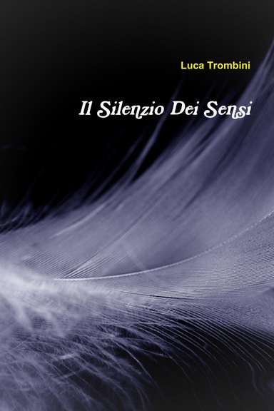 Il Silenzio Dei Sensi