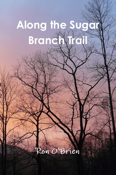 Along the Sugar Branch Trail