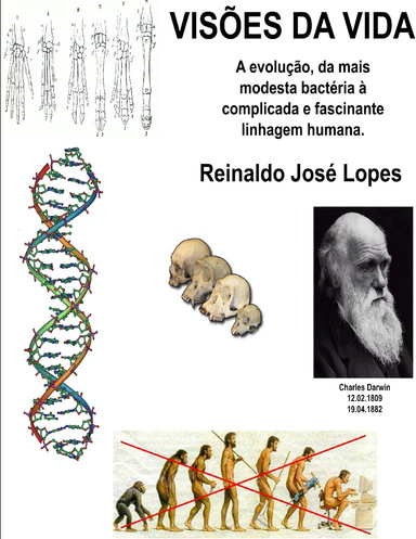 Visões da Vida
