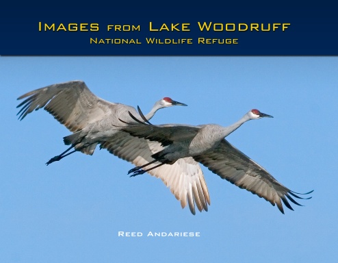 Images from Lake Woodruff National Wildlife Refuge