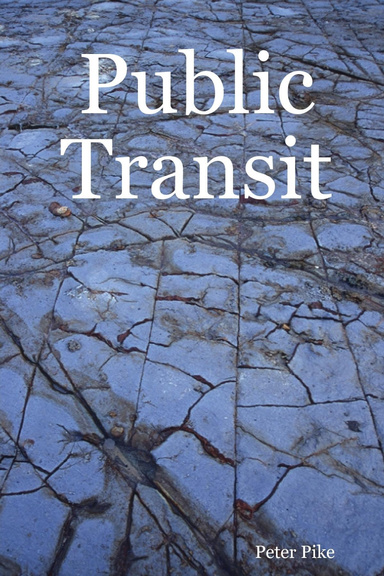 Public Transit