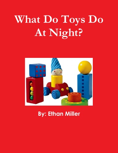 What Do Toys Do At Night?