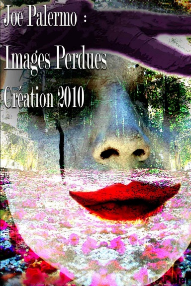 IMAGES PERDUES