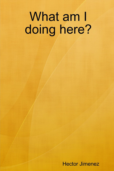 What am I doing here?