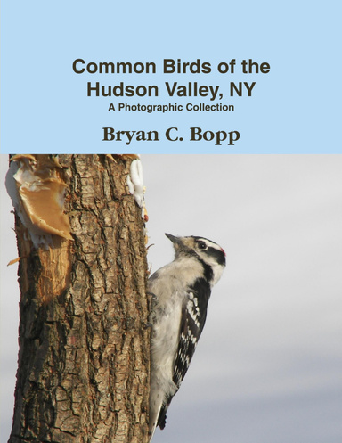 Common Birds of  the Hudson Valley Softcover