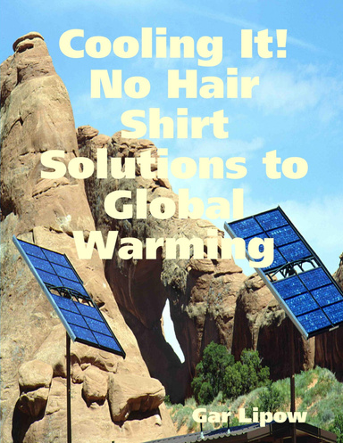 Cooling It! No Hair Shirt Solutions to Global Warming