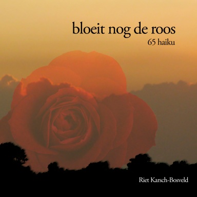 bloeit nog de roos