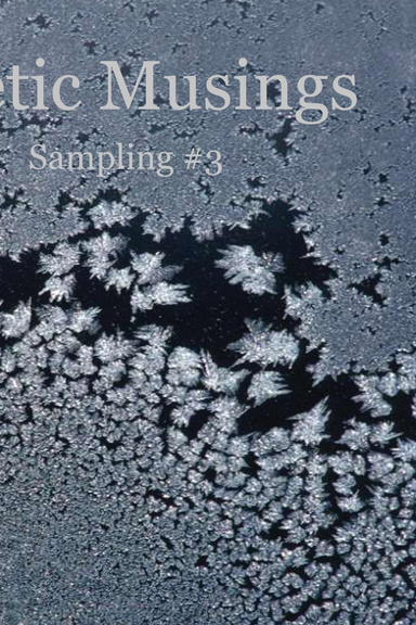 Poetic Musings - Sampling #3