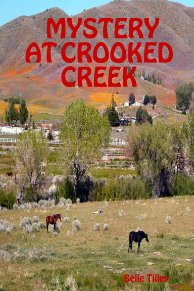 MYSTERY AT CROOKED CREEK
