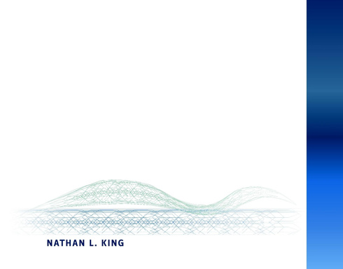 Nathan King - Portfolio Spring 2008