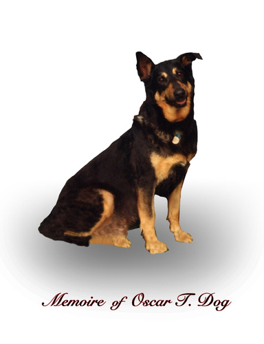 Oscar_4