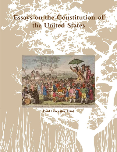 Essays on the Constitution of the United States