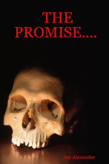 THE PROMISE....