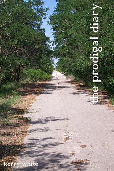 The Prodigal Diary