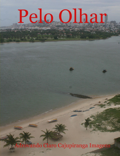 Pelo Olhar