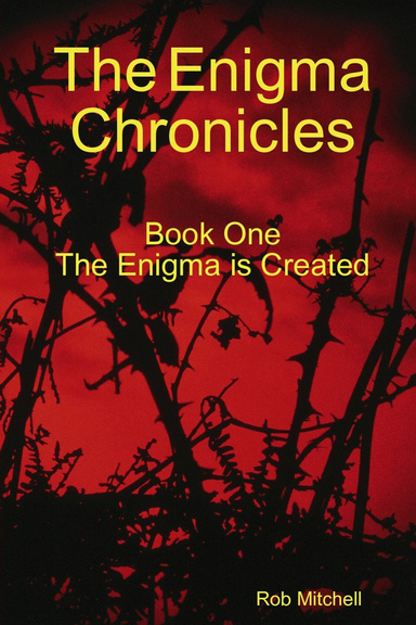 The Enigma Chronicles