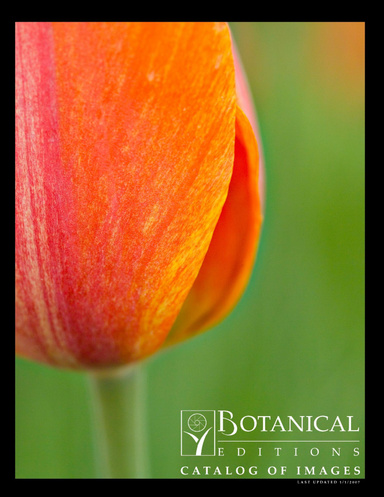 BOTANICAL EDITIONS CATALOG - Winter 2007