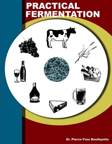 Practical Fermentation