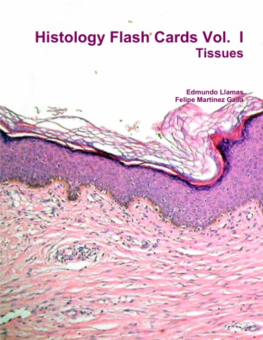 Histology Flash Cards Vol.  I