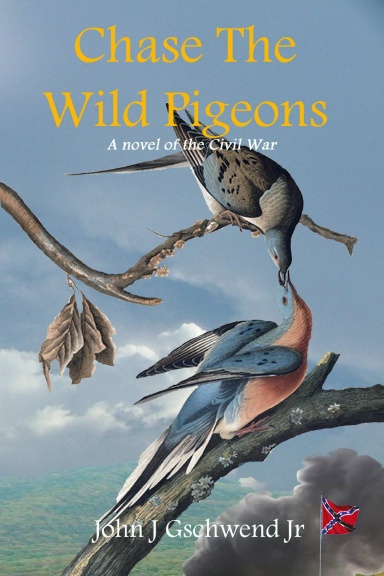 Chase The Wild Pigeons: A Novel of the Civil War