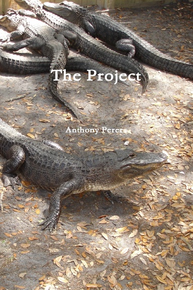 The Project