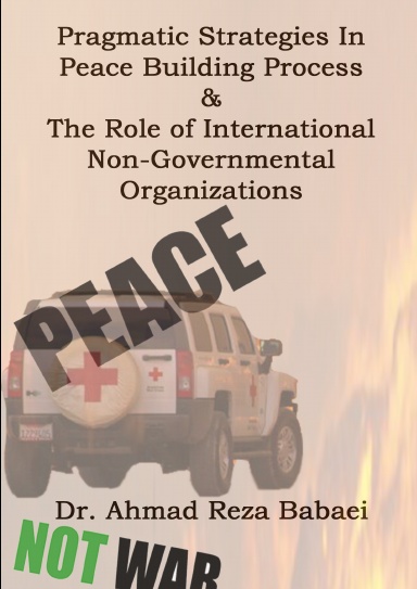 Pragmatic Strategies in Peace Building Process and the Role of International Non-Governmental Organizations