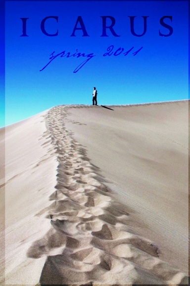 Icarus 2011