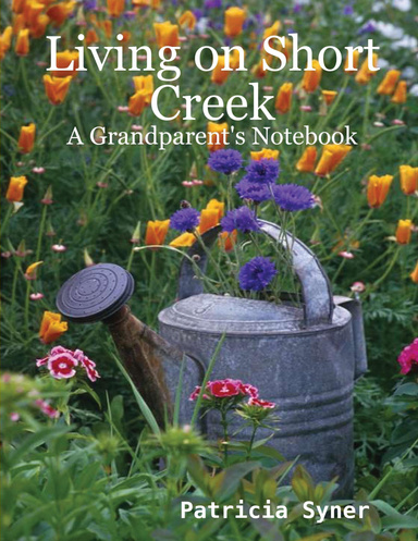 Living On Short Creek: A Grandparent's Notebook