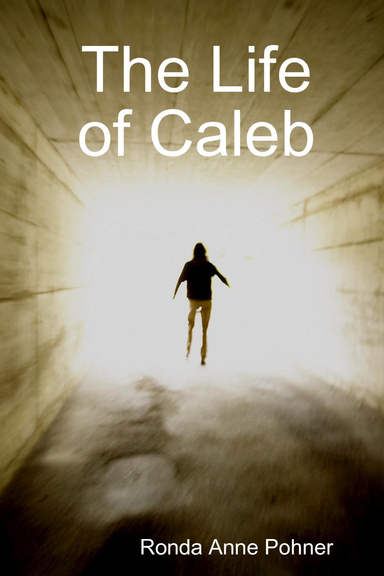 The Life of Caleb
