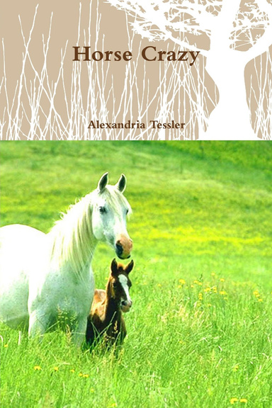 Horse Crazy