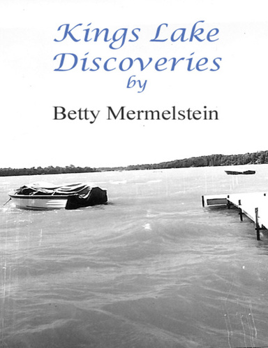 Kings Lake Discoveries