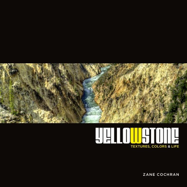 Yellowstone: Textures, Colors & Life