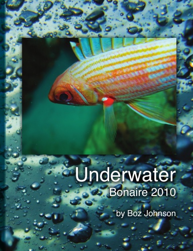Bonaire Underwater 2010 -PB