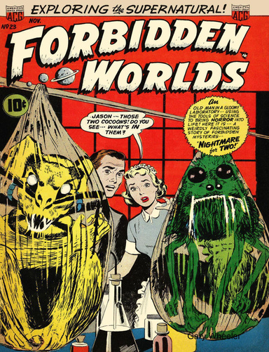 Forbidden Worlds 23