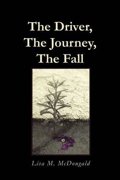 The Driver, The Journey, The Fall