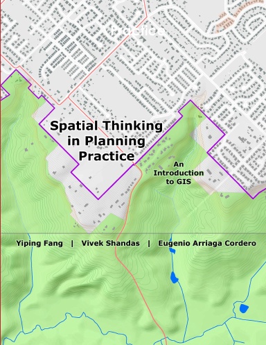 Spatial Thinking in Planning Practice
