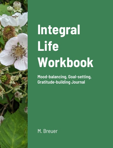 Integral Life Workbook