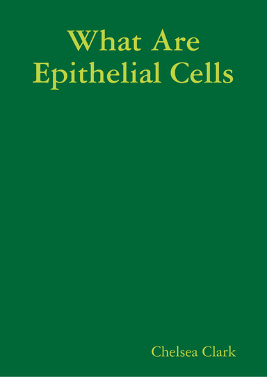 What Are Epithelial Cells