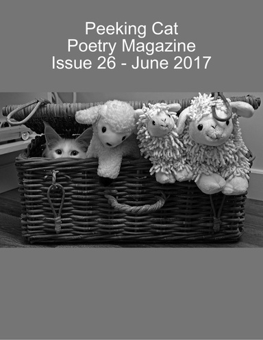 Peeking Cat Poetry Magazine Issue 26 - June 2017