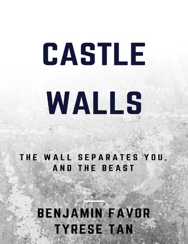 Castle Walls