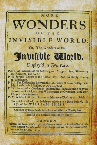 More Wonders of the Invisible World