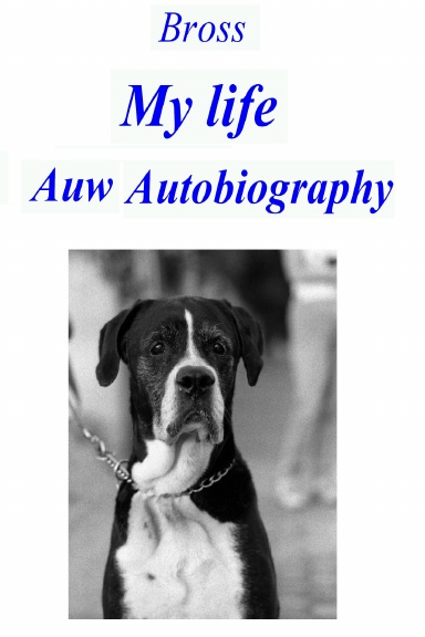 My life Auw Autobiography