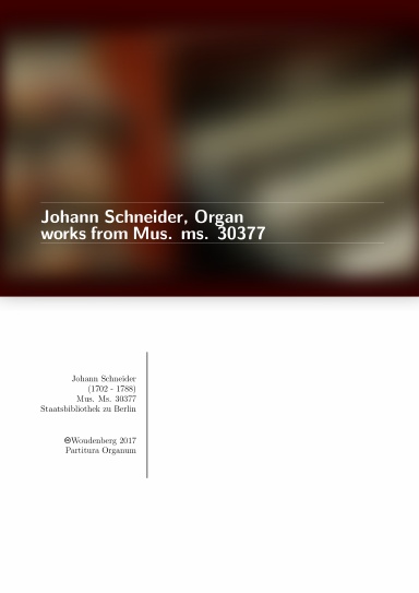 Johann Schneider, Organ works