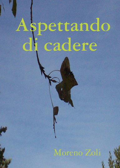 Aspettando di cadere