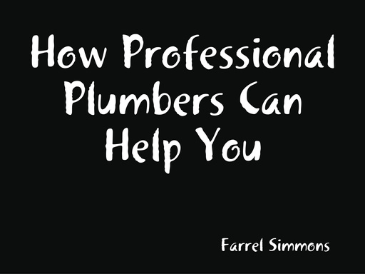How Professional Plumbers Can Help You