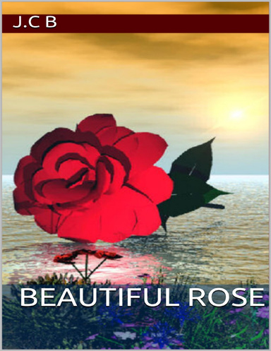 Beautiful rose